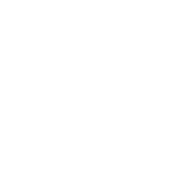 Real estate agent holding a house model.